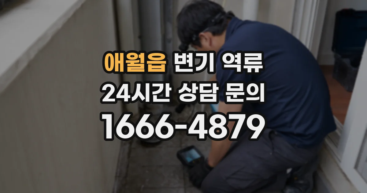 애월읍 변기 역류