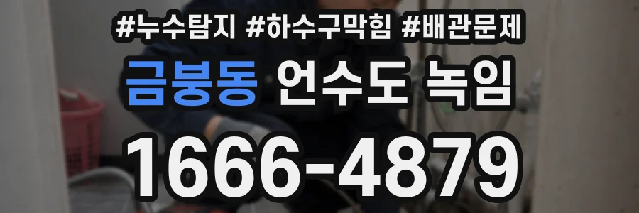 금붕동 언수도 녹임