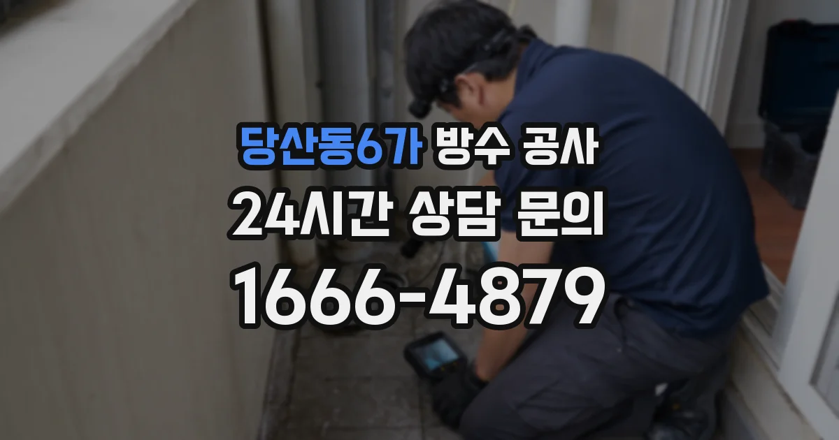 당산동6가 방수 공사