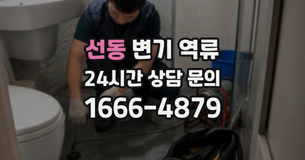 선동 변기 역류