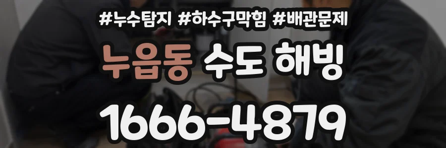 누읍동 수도 해빙
