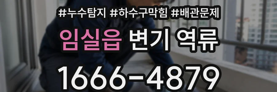 임실읍 변기 역류