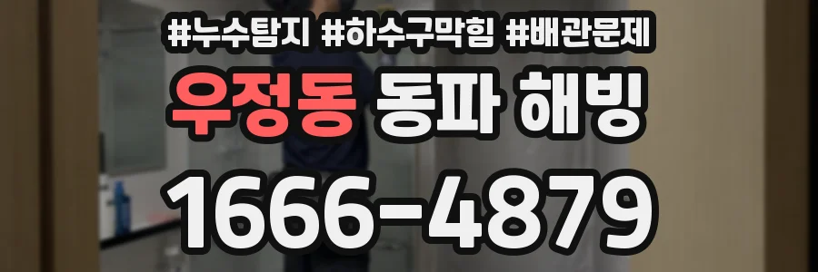 우정동 동파 해빙