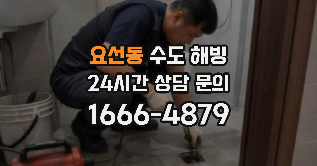 요선동 수도 해빙