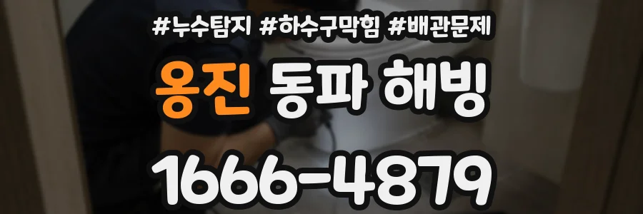 옹진 동파 해빙
