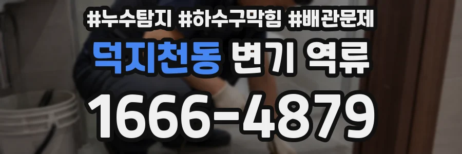 덕지천동 변기 역류