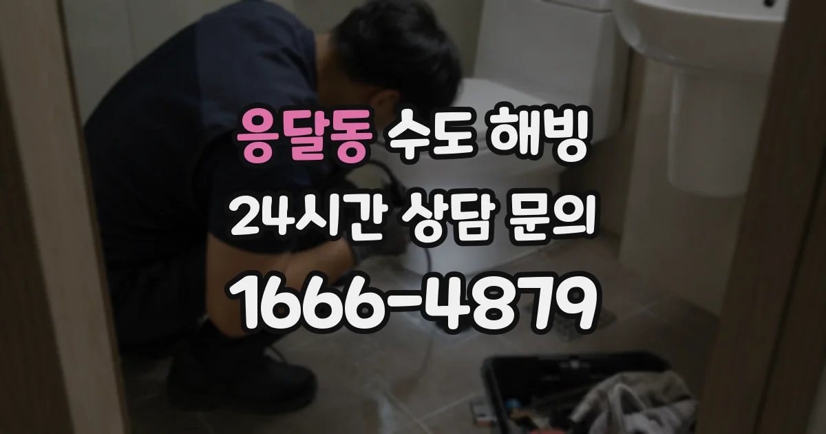 응달동 수도 해빙
