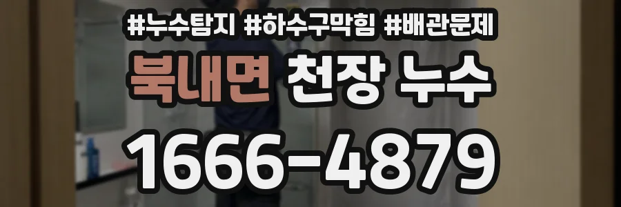 북내면 천장 누수