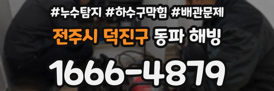전주시 덕진구 동파 해빙