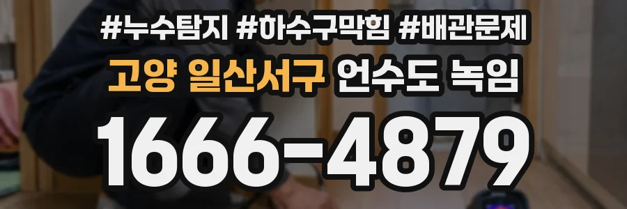 고양 일산서구 언수도 녹임