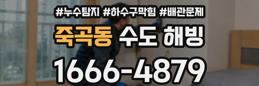 죽곡동 수도 해빙