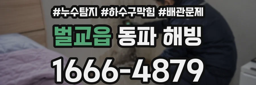 벌교읍 동파 해빙