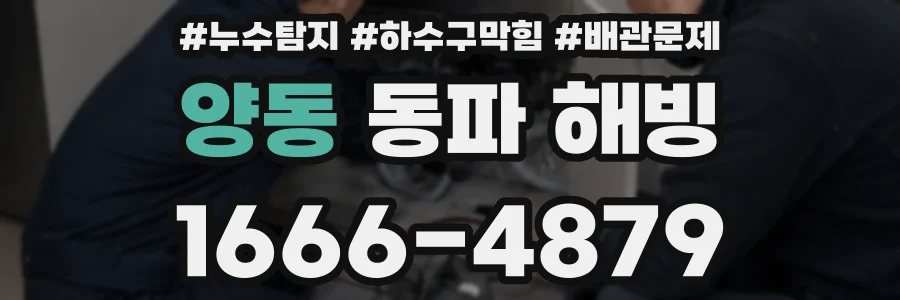 양동 동파 해빙