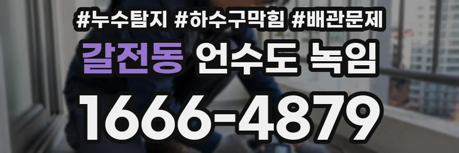 갈전동 언수도 녹임