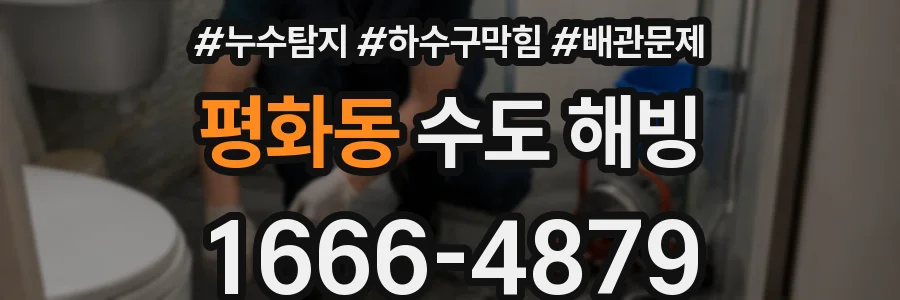 평화동 수도 해빙
