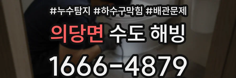 의당면 수도 해빙