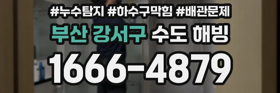 부산 강서구 수도 해빙