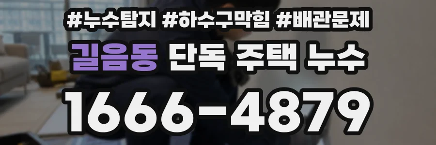 길음동 단독 주택 누수