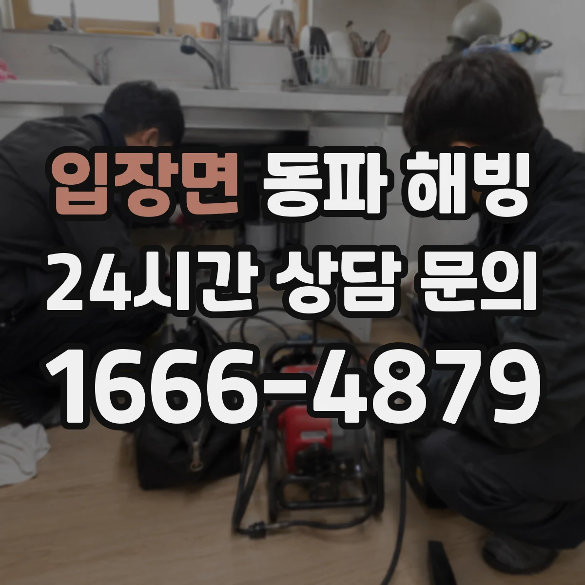 입장면 동파 해빙