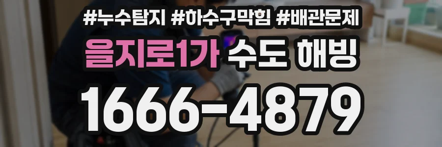 을지로1가 수도 해빙