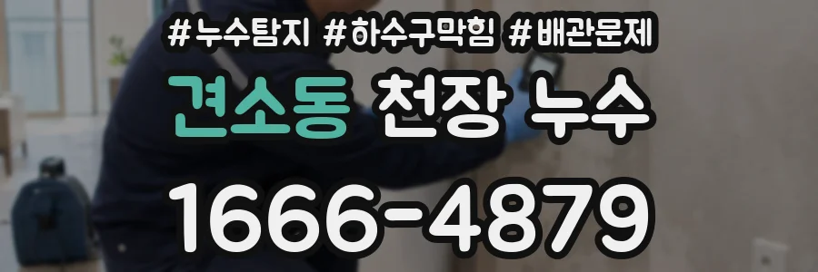견소동 천장 누수