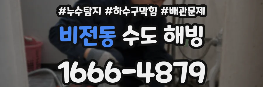비전동 수도 해빙