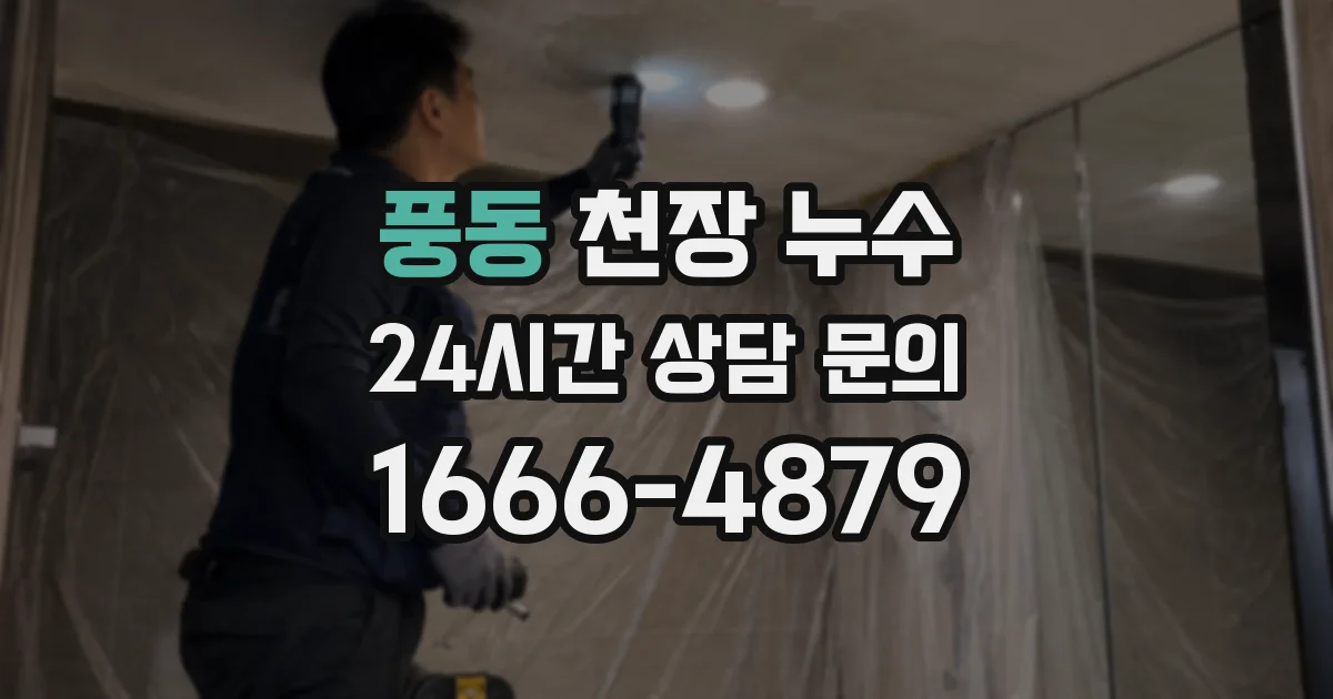 풍동 천장 누수