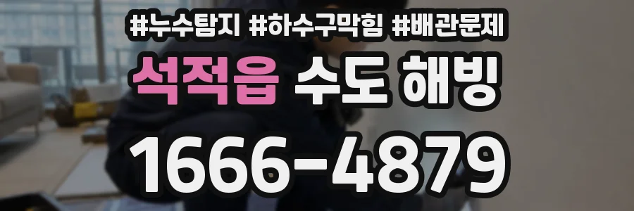 석적읍 수도 해빙