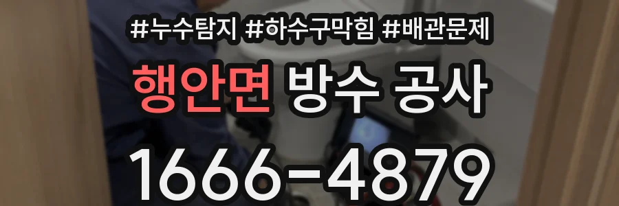 행안면 방수 공사