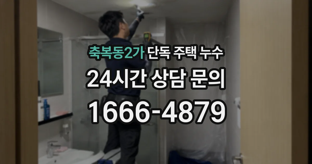 축복동2가 단독 주택 누수