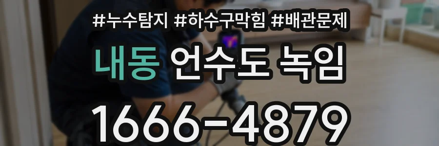 내동 언수도 녹임