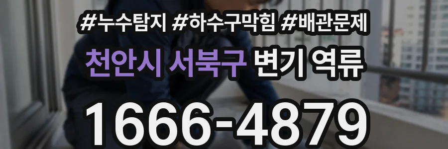 천안시 서북구 변기 역류
