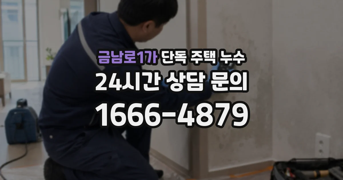 금남로1가 단독 주택 누수