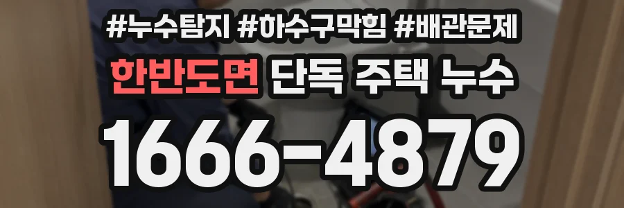 한반도면 단독 주택 누수