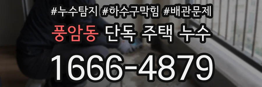 풍암동 단독 주택 누수