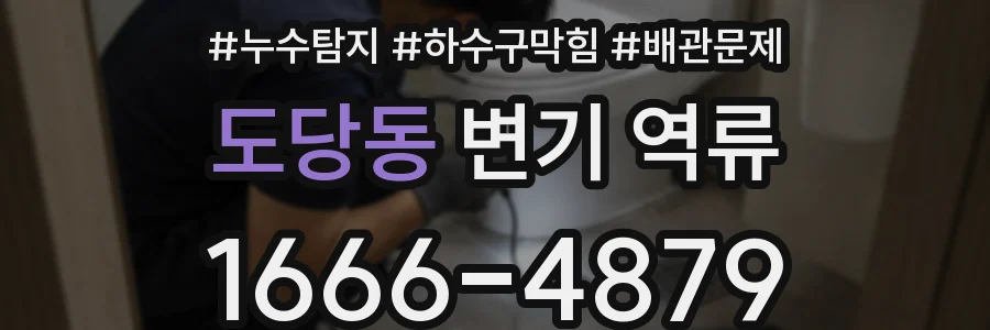 도당동 변기 역류