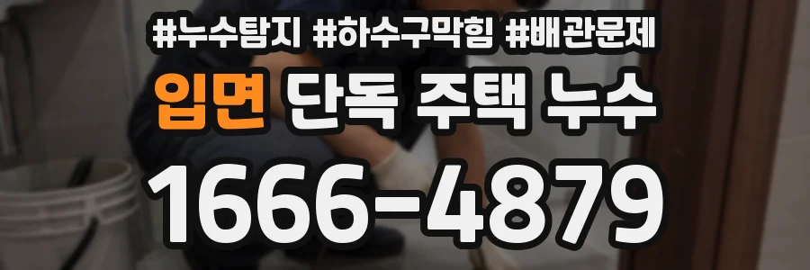 입면 단독 주택 누수