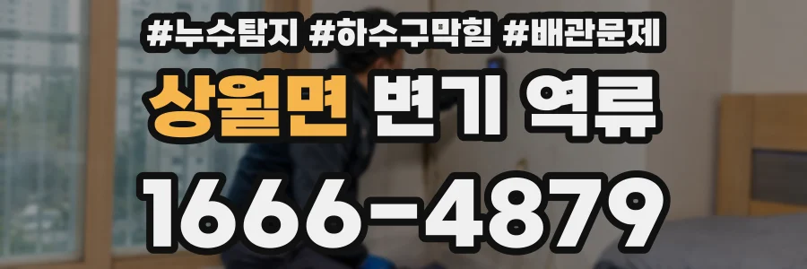 상월면 변기 역류