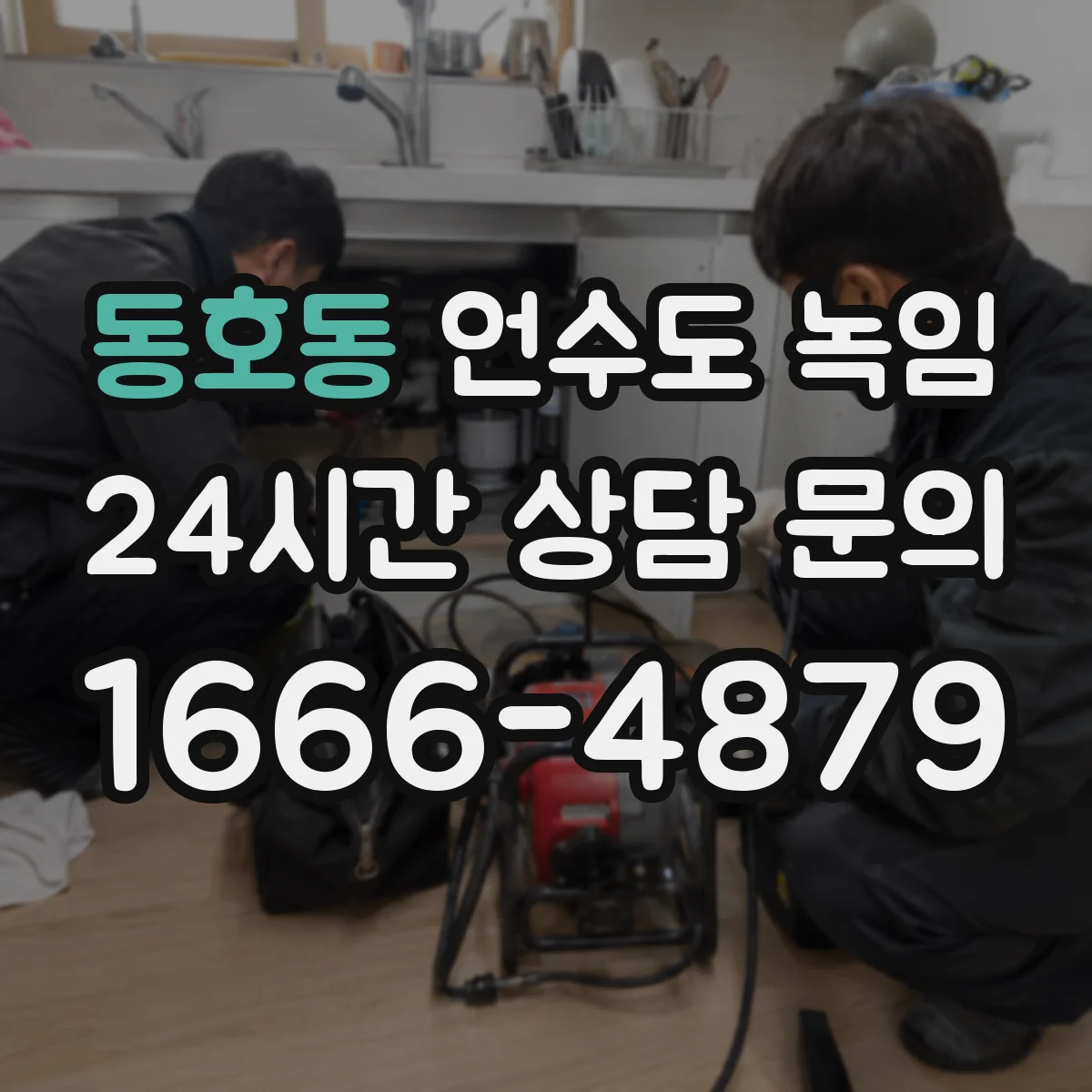 동호동 언수도 녹임