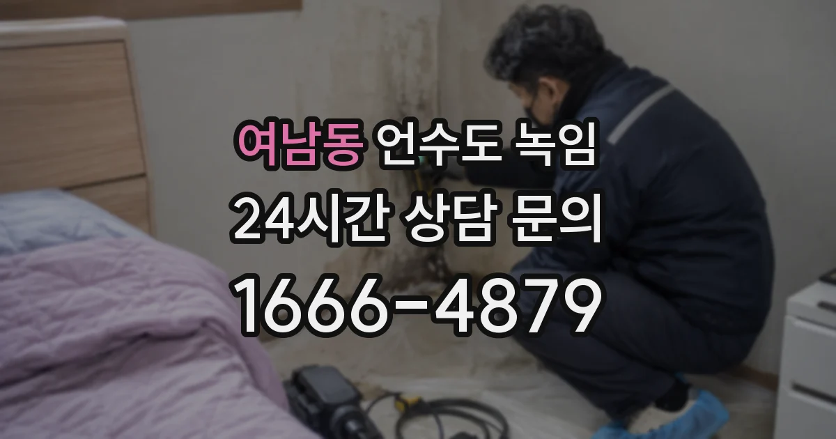 여남동 언수도 녹임