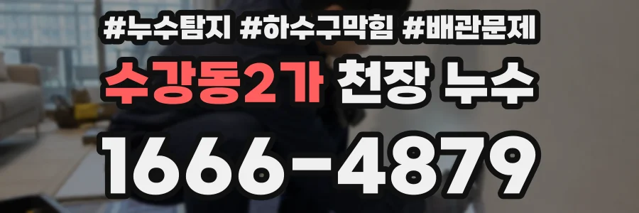 수강동2가 천장 누수