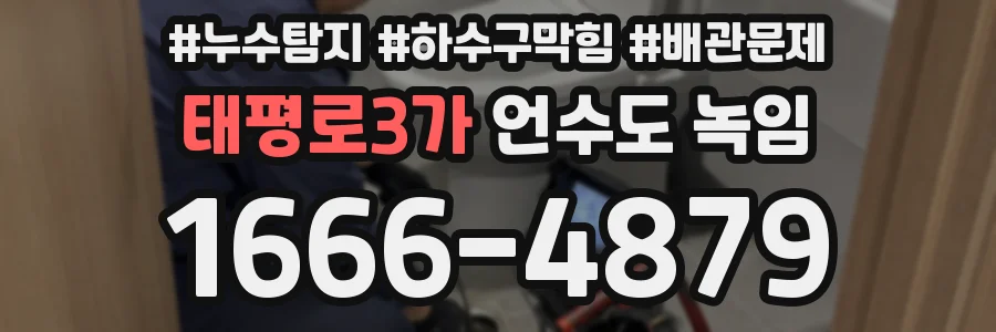 태평로3가 언수도 녹임