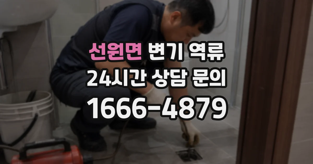선원면 변기 역류