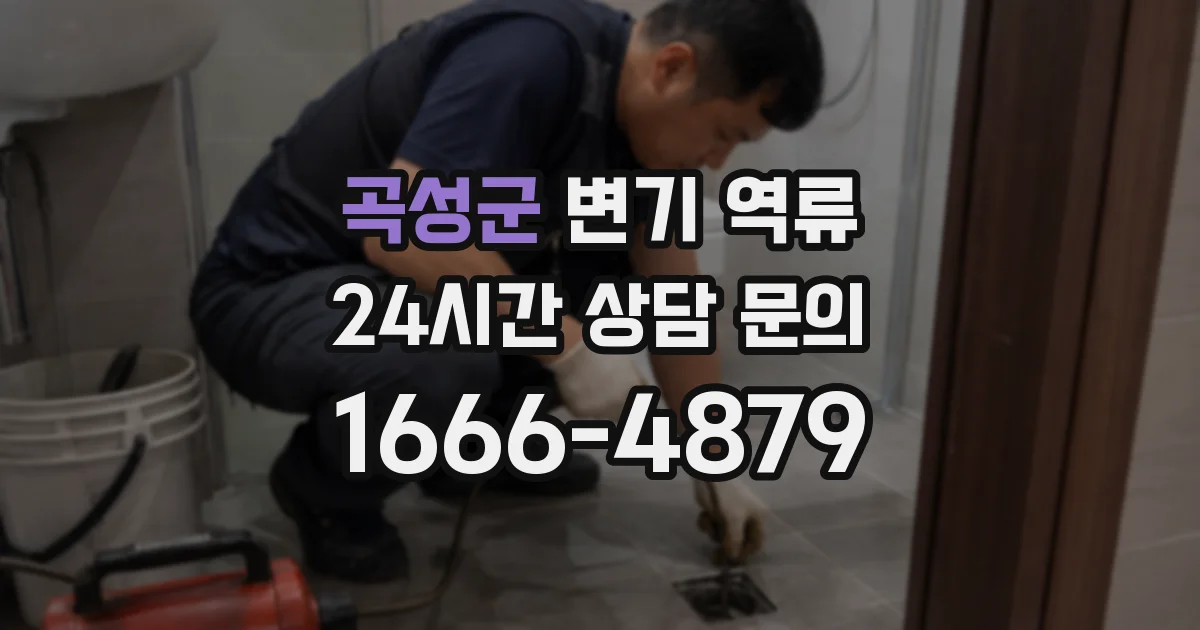곡성군 변기 역류