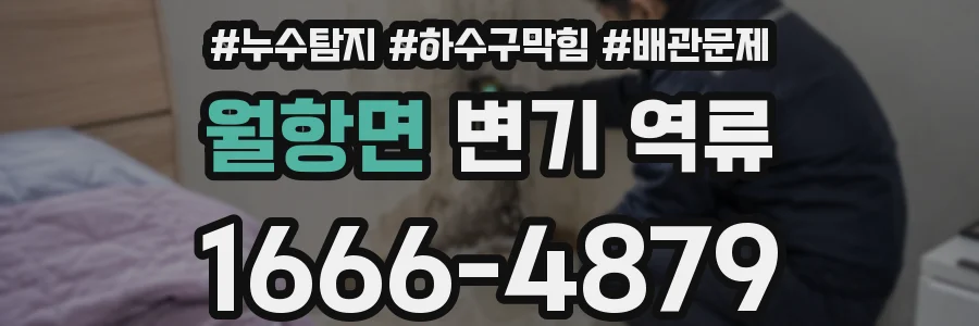 월항면 변기 역류