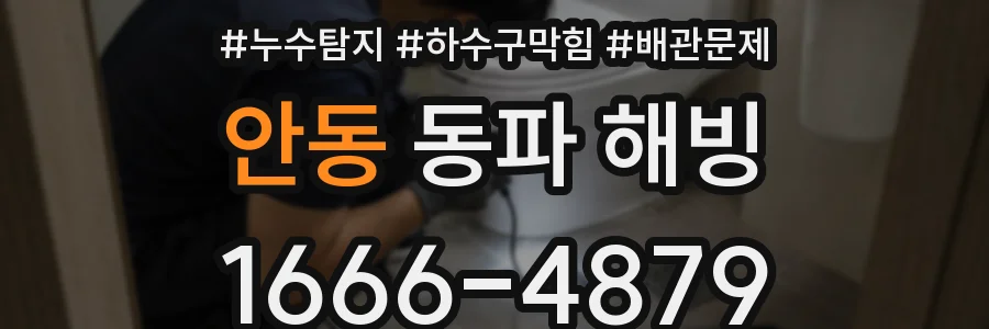 안동 동파 해빙