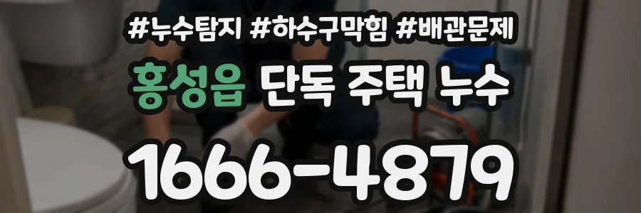 홍성읍 단독 주택 누수