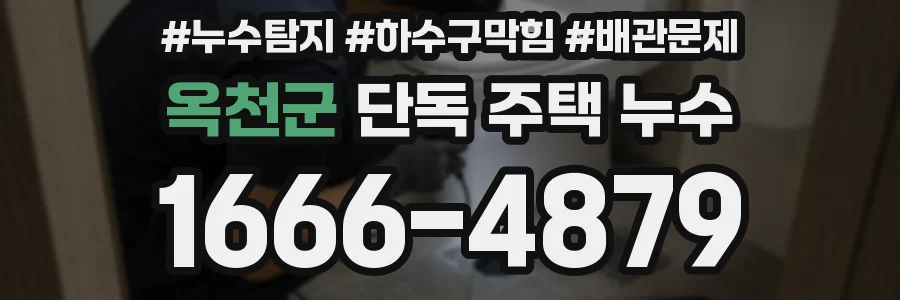 옥천군 단독 주택 누수