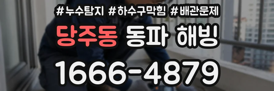 당주동 동파 해빙