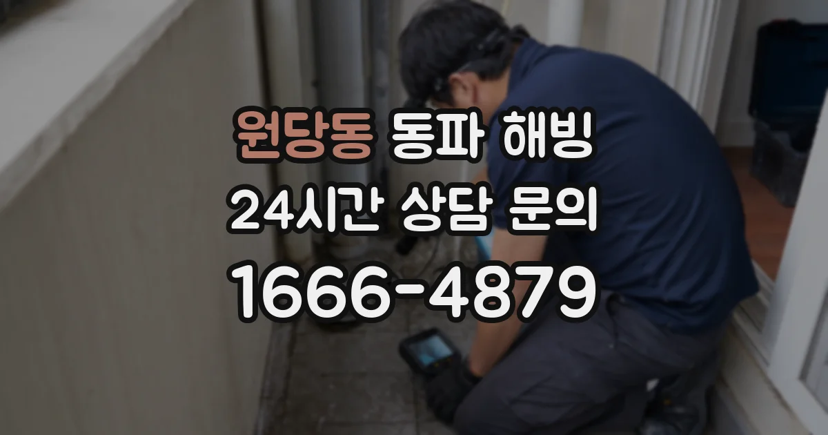 원당동 동파 해빙